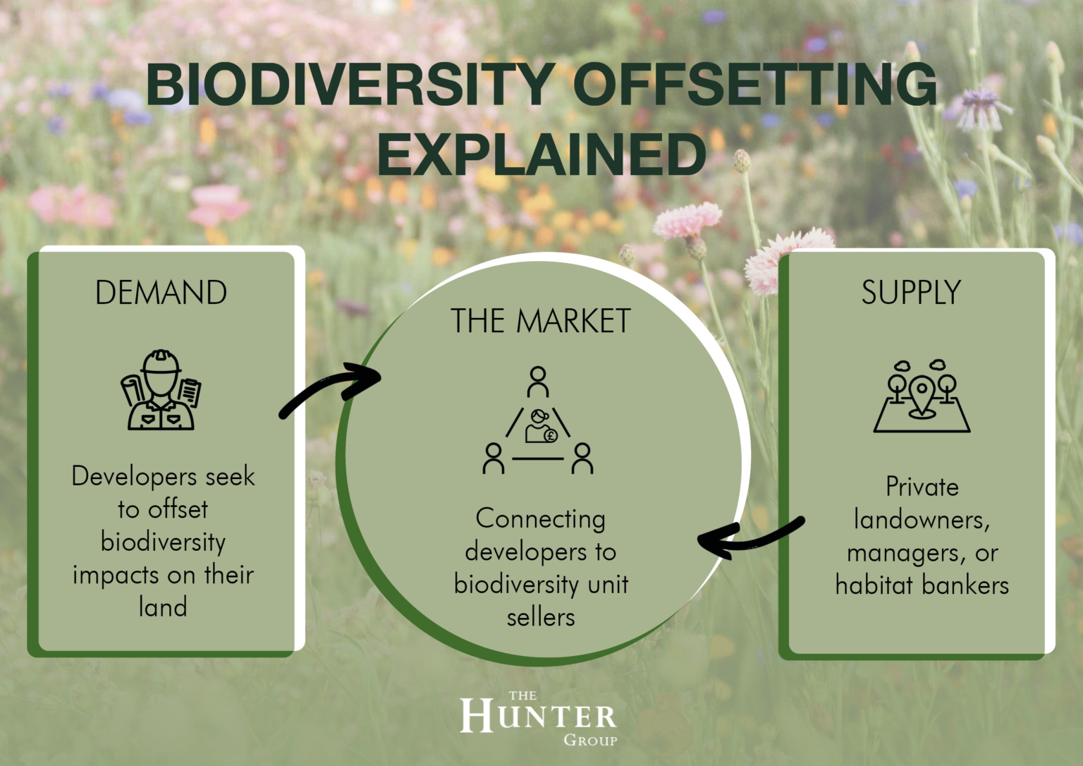Biodiversity Net Gain Thehuntergroup co uk biodiversity-net-gain-thehuntergroup-co-uk
